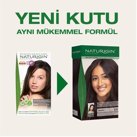Naturigin Organik İçerikli Saç Boyası 2.3 Abonoz Siyah